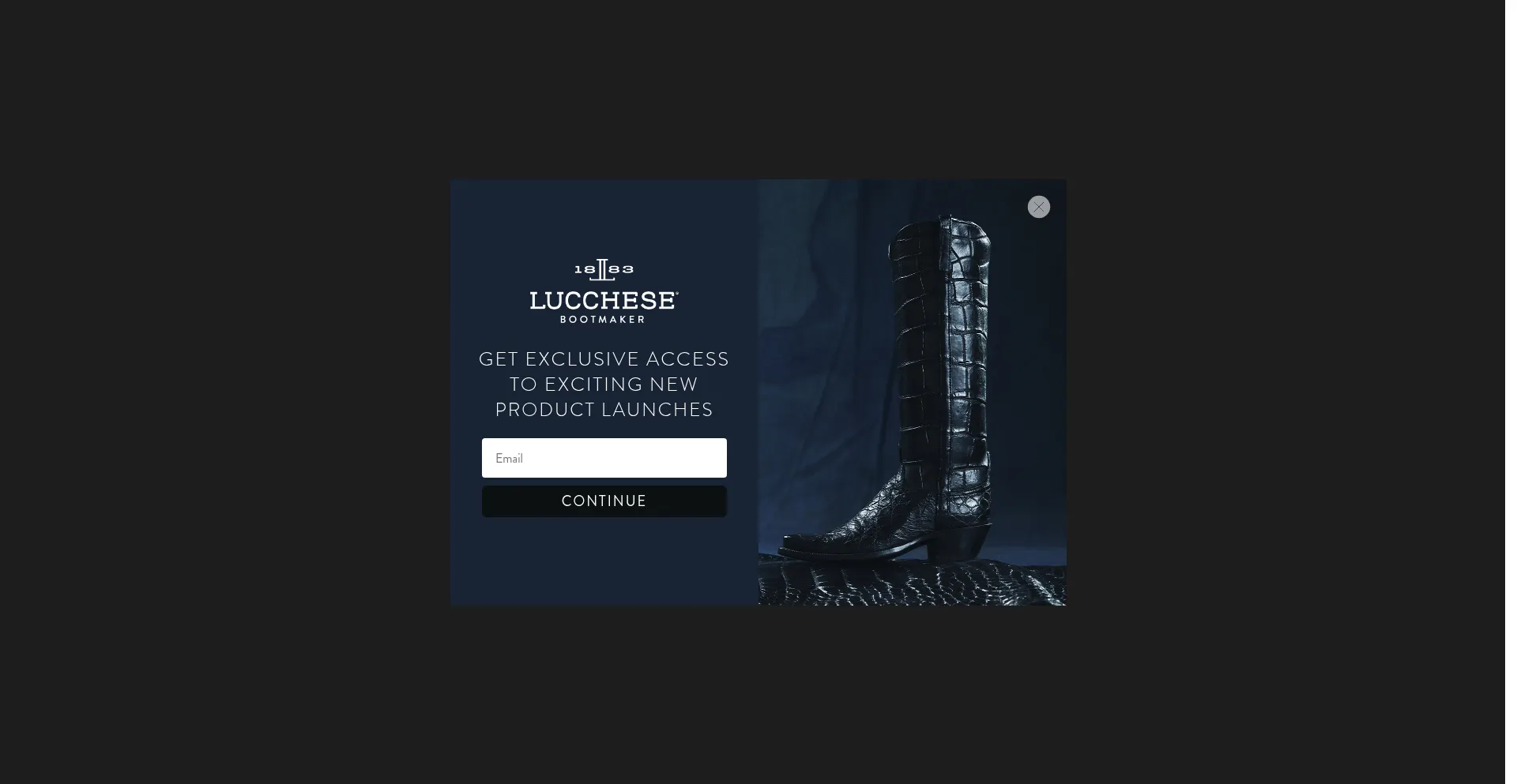 Website screenshot of Lucchees.com