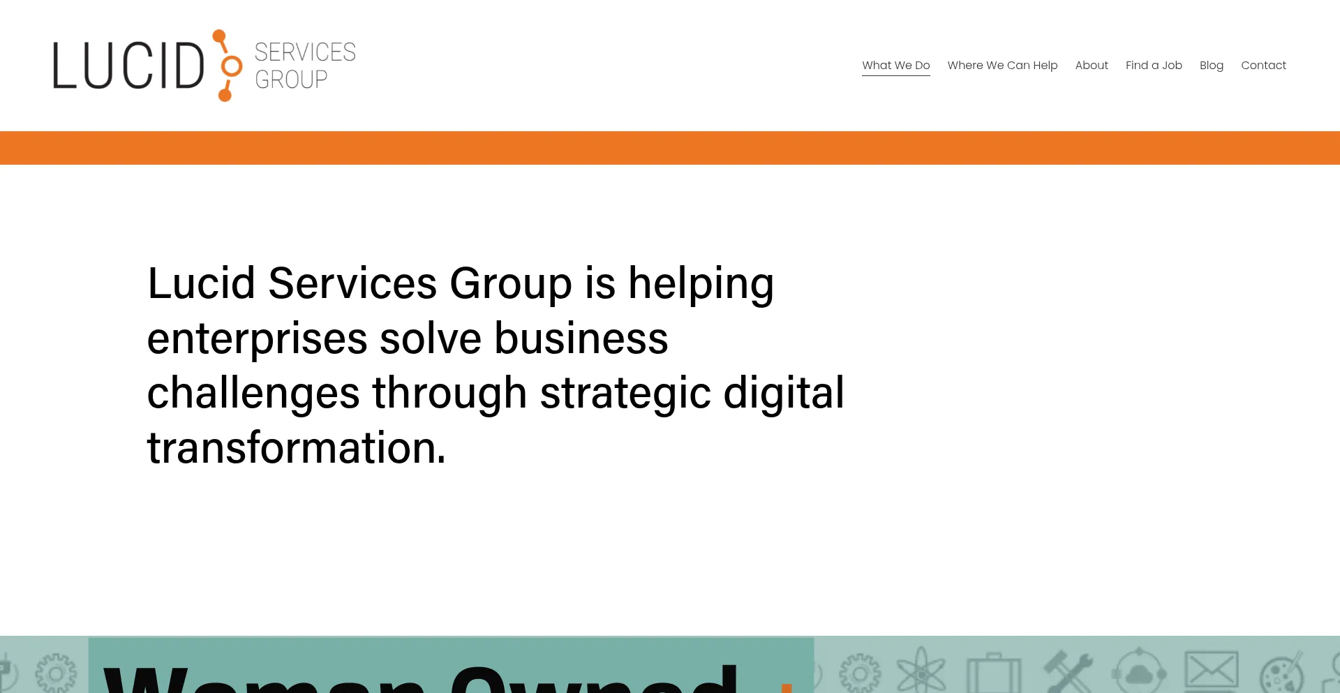 Website screenshot of Lucidservicesgroup.com