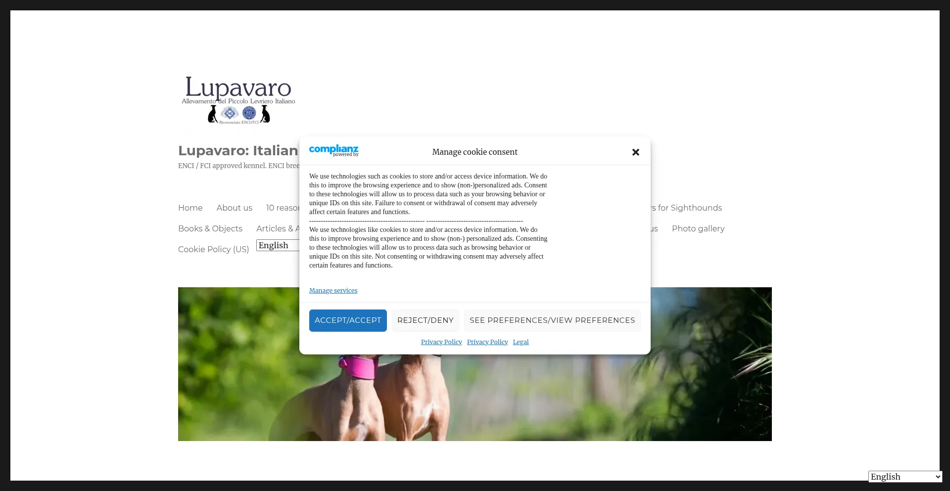 Website screenshot of Lupavaro.com