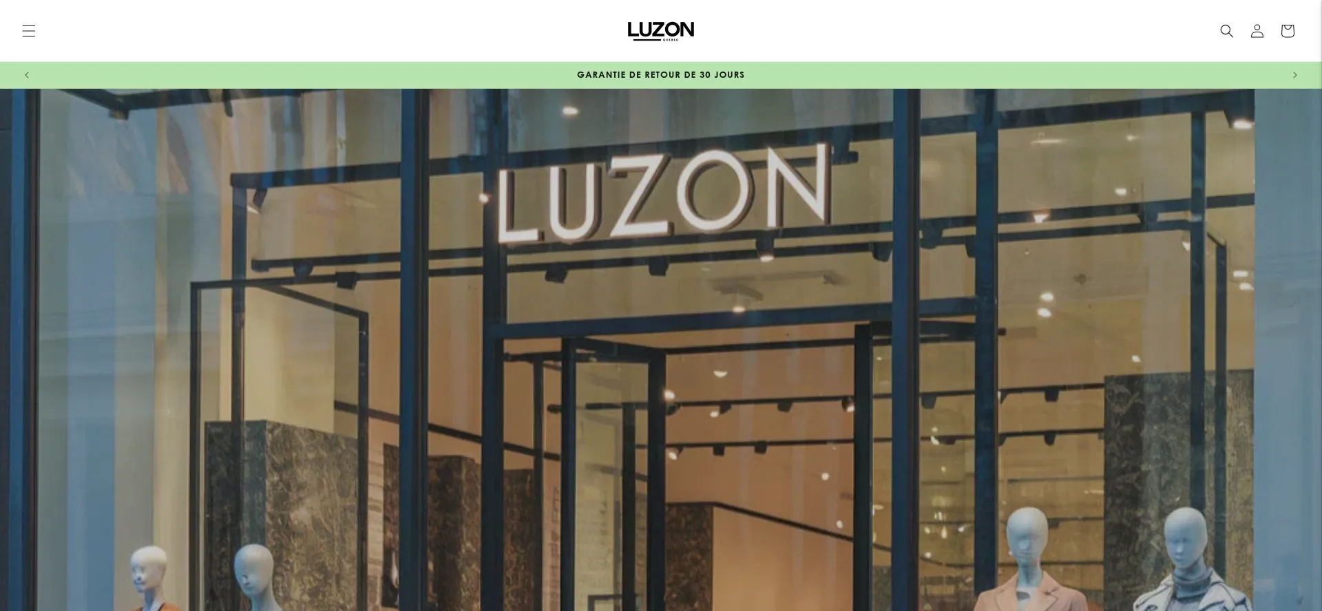 Website screenshot of Luzon-quebec.com