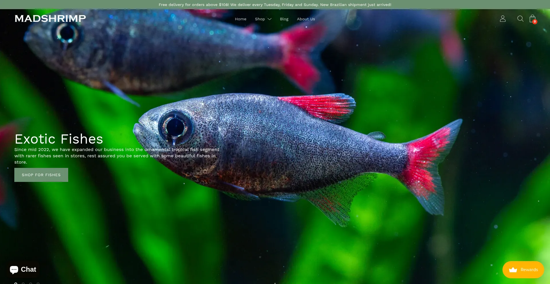 Website screenshot of Madshrimp.com