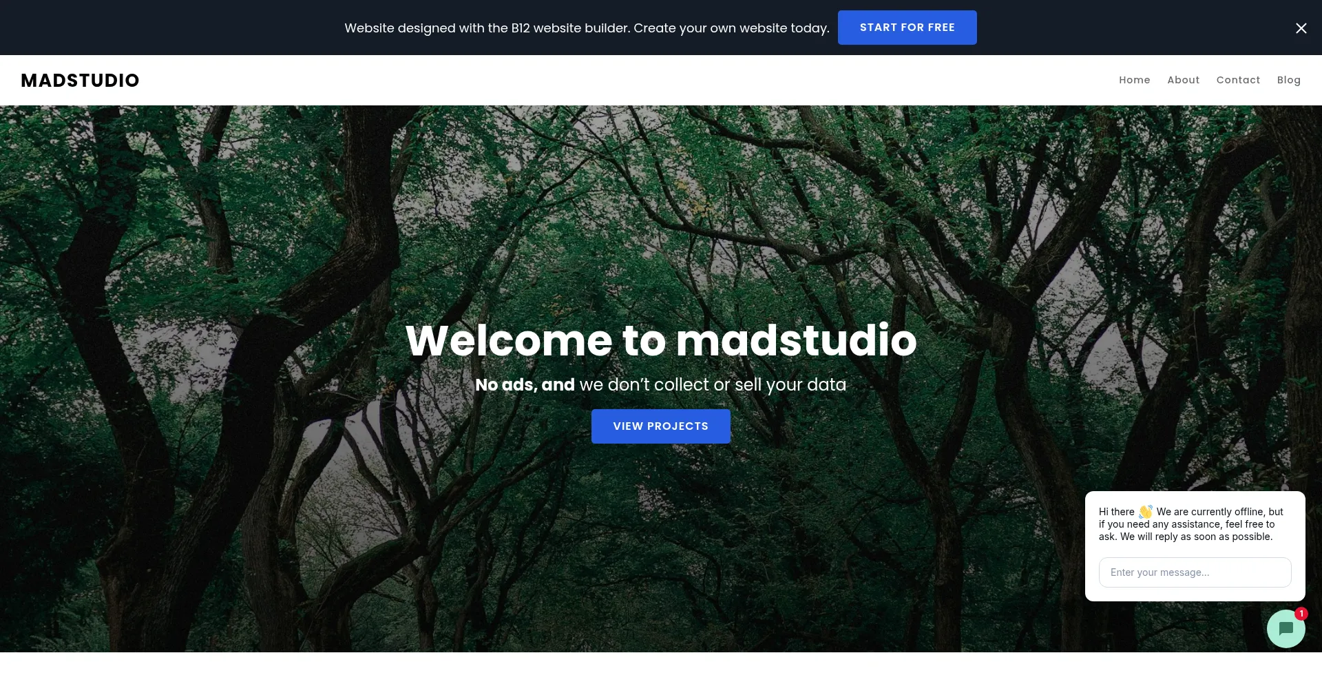 Madstudio.b12sites.com Screenshot