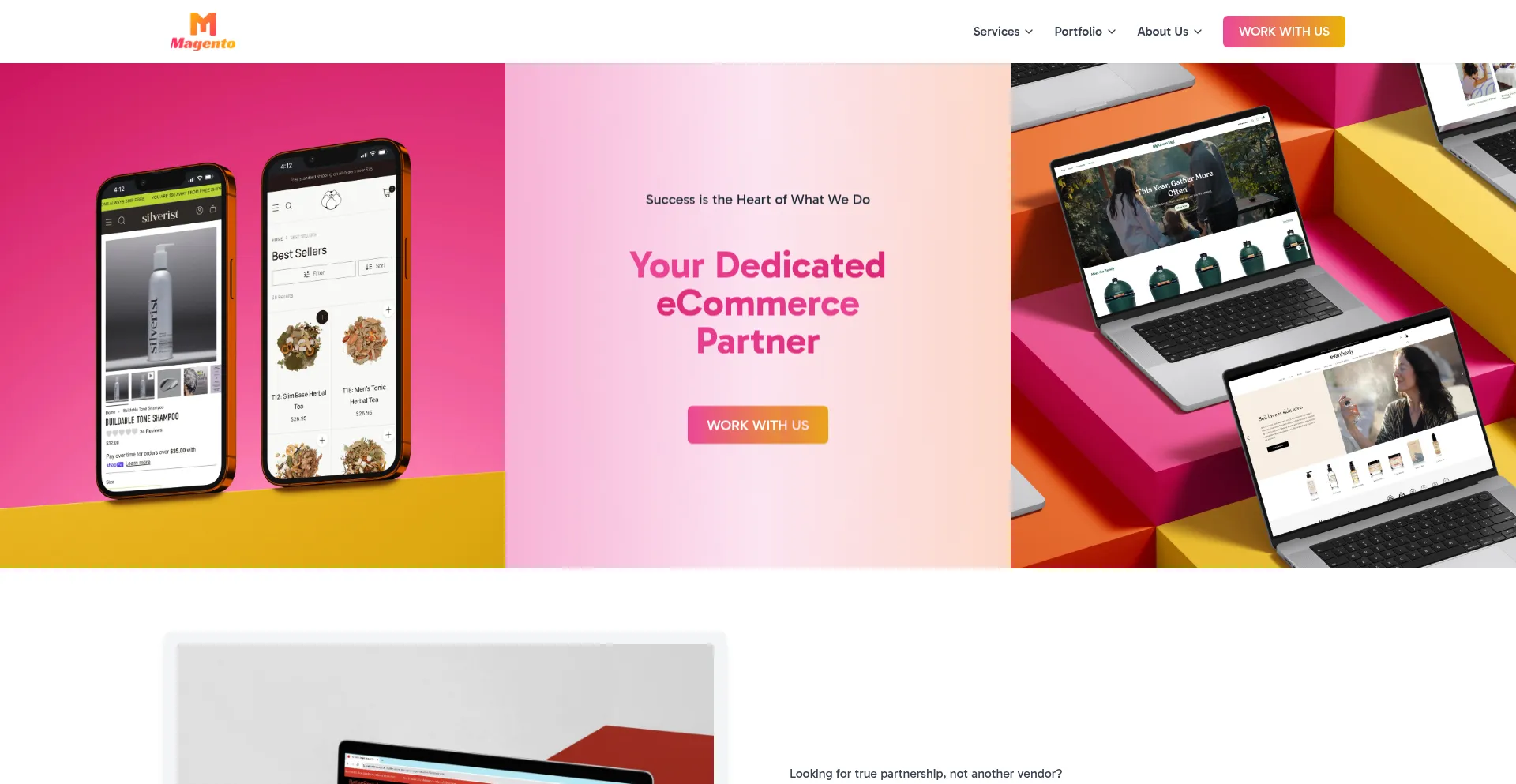 Website screenshot of Magento-info.com