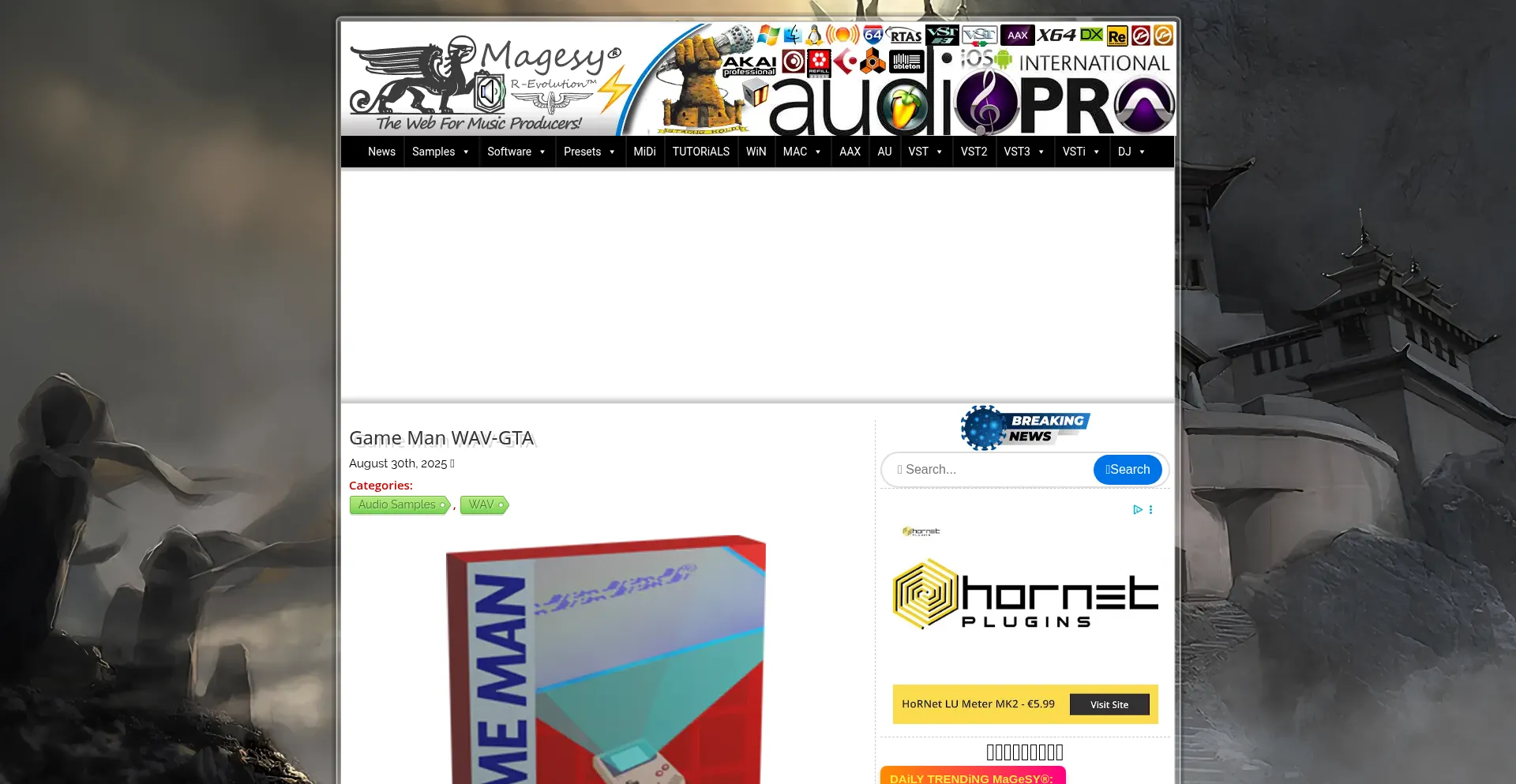 Website screenshot of Magesy.net