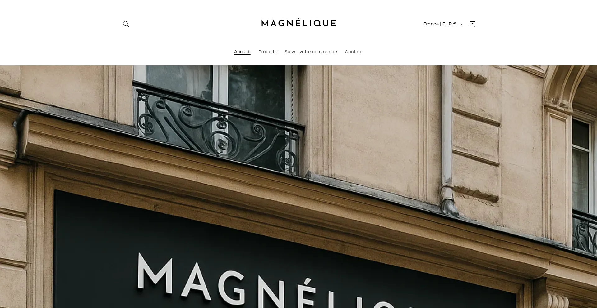 Website screenshot of Magnelique.com