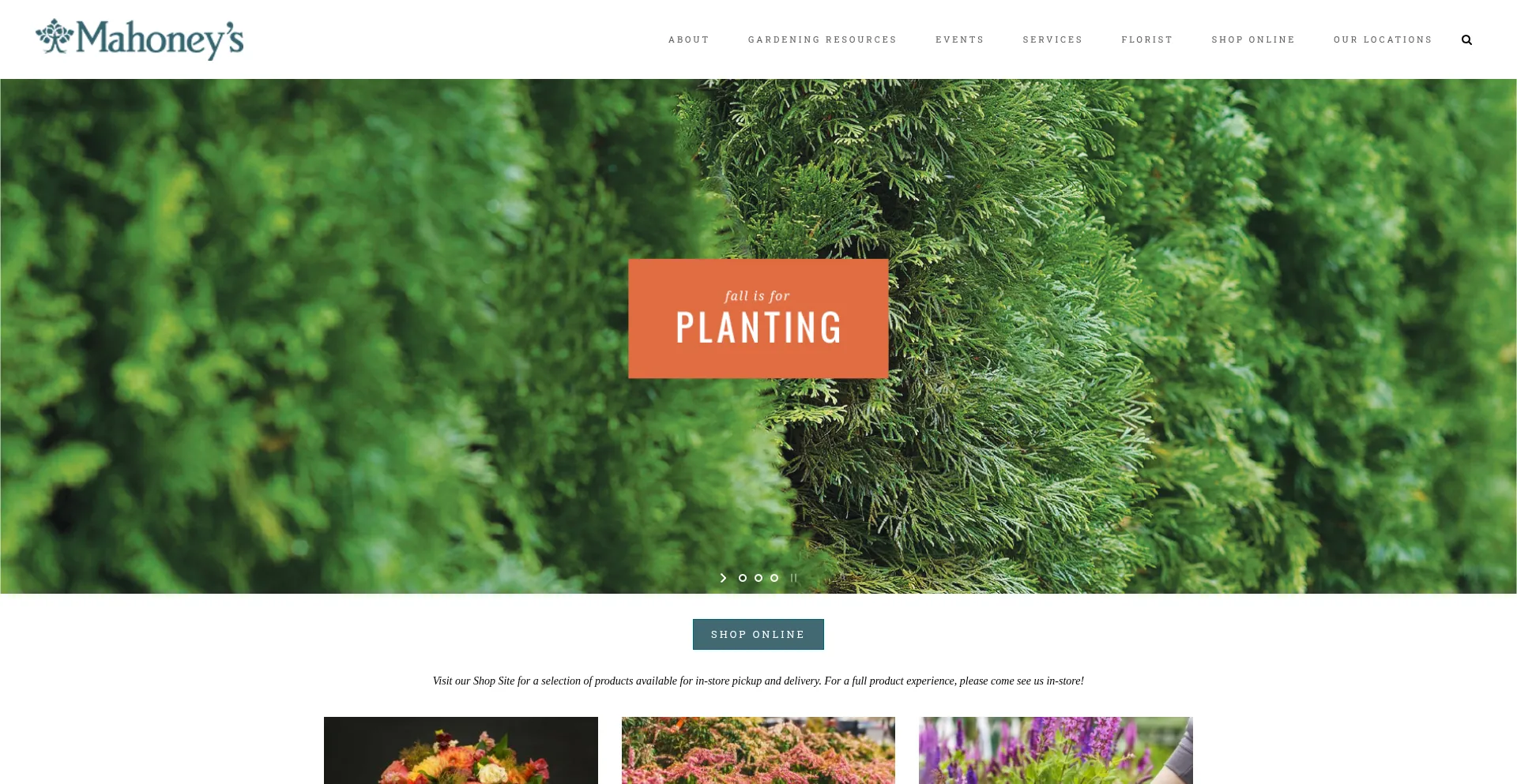 Website screenshot of Mahoneysgarden.com