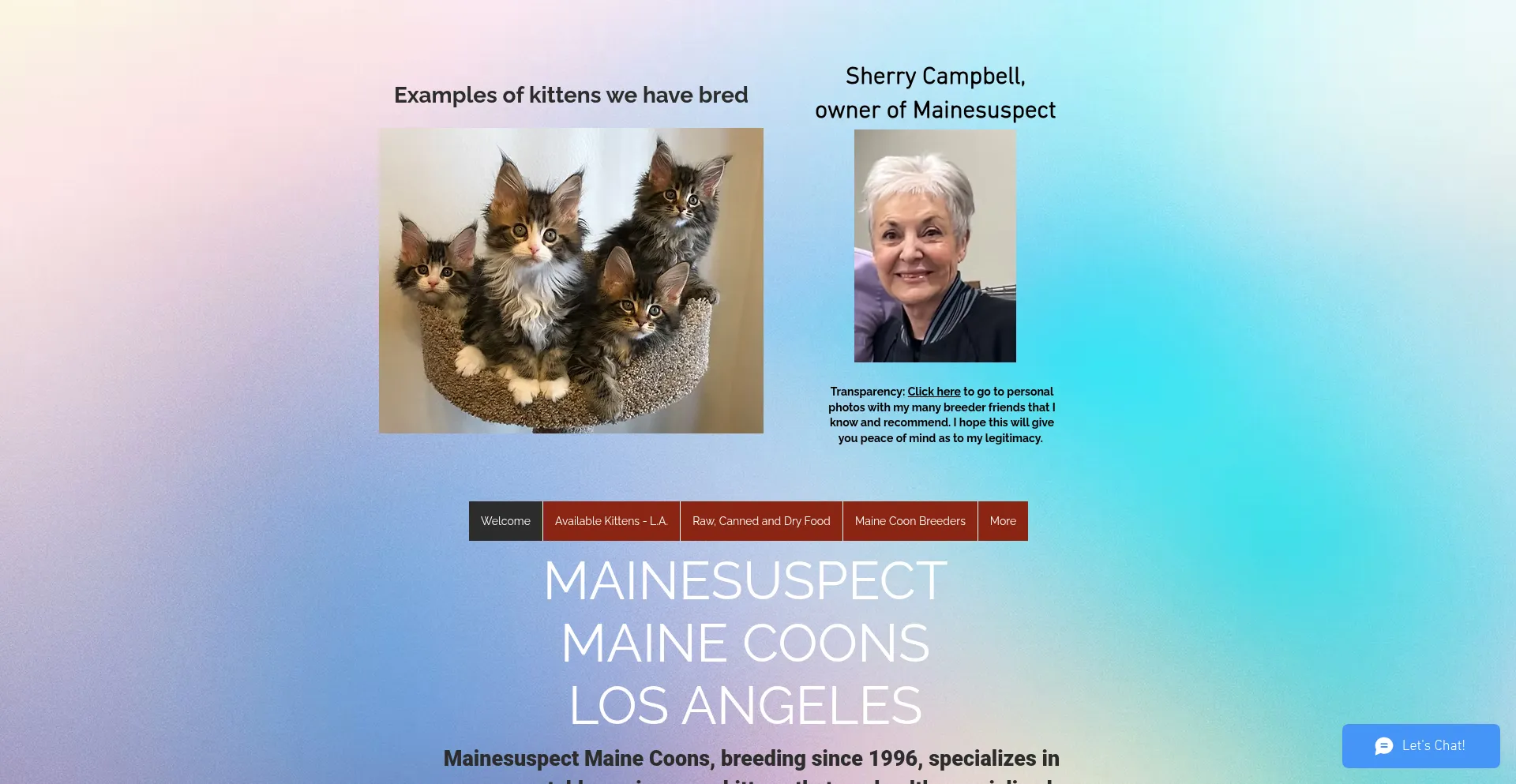 Website screenshot of Mainecoonkittensforsale.net
