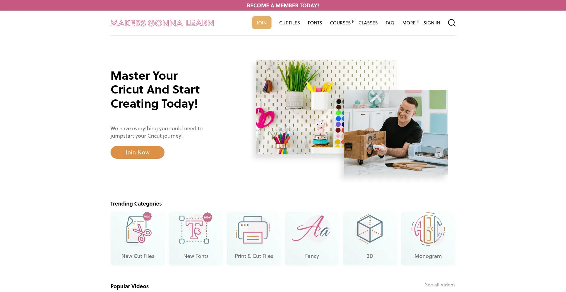 Makersgonnalearn.com Screenshot