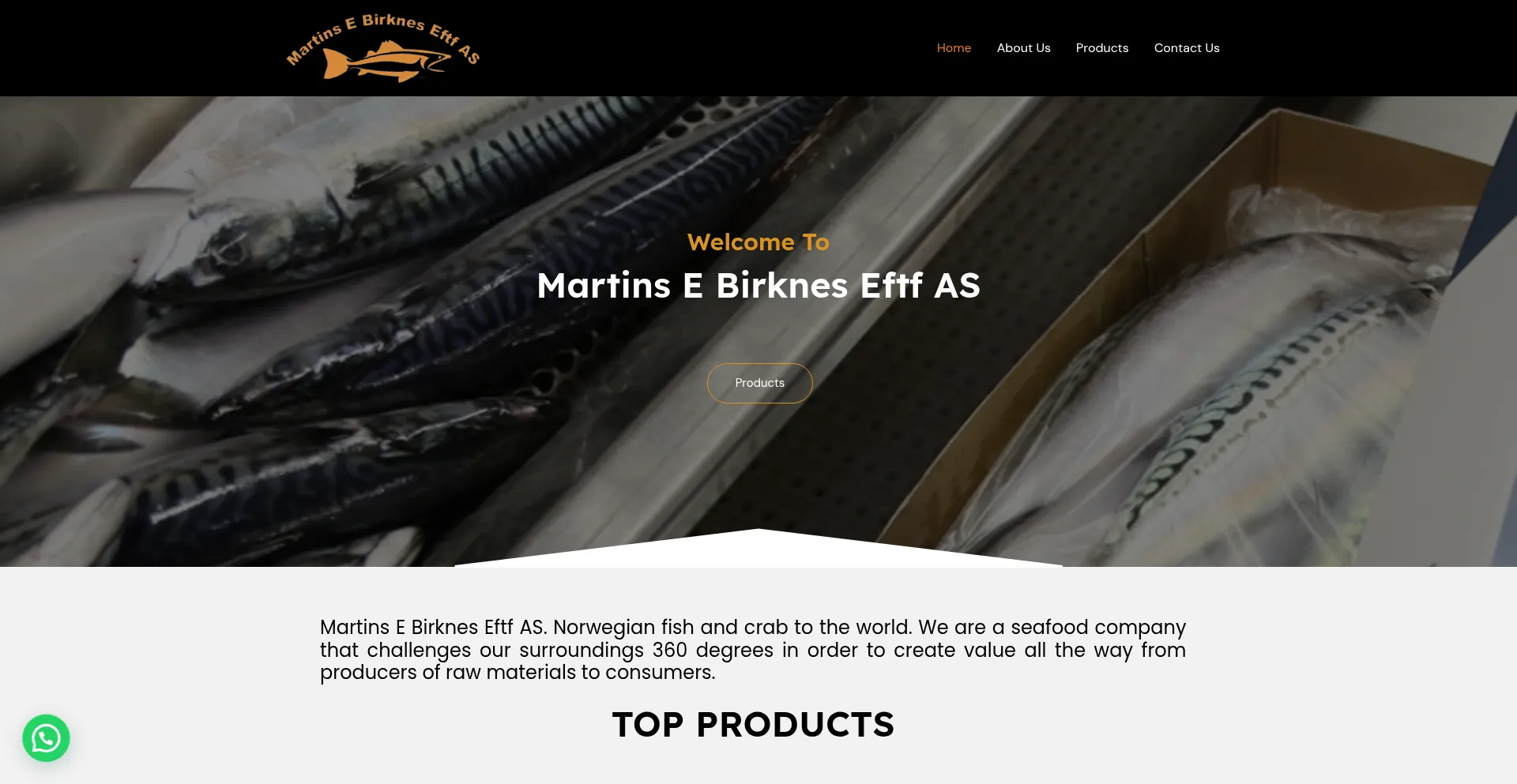 Website screenshot of Martinsebirkneseftfas.com