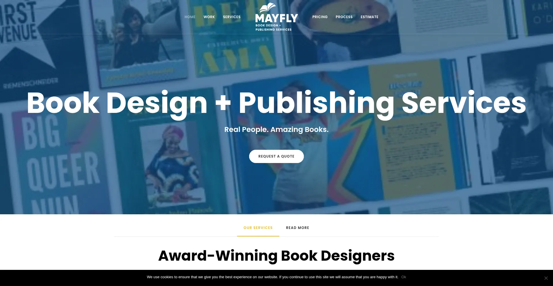 Website screenshot of Mayflydesign.com