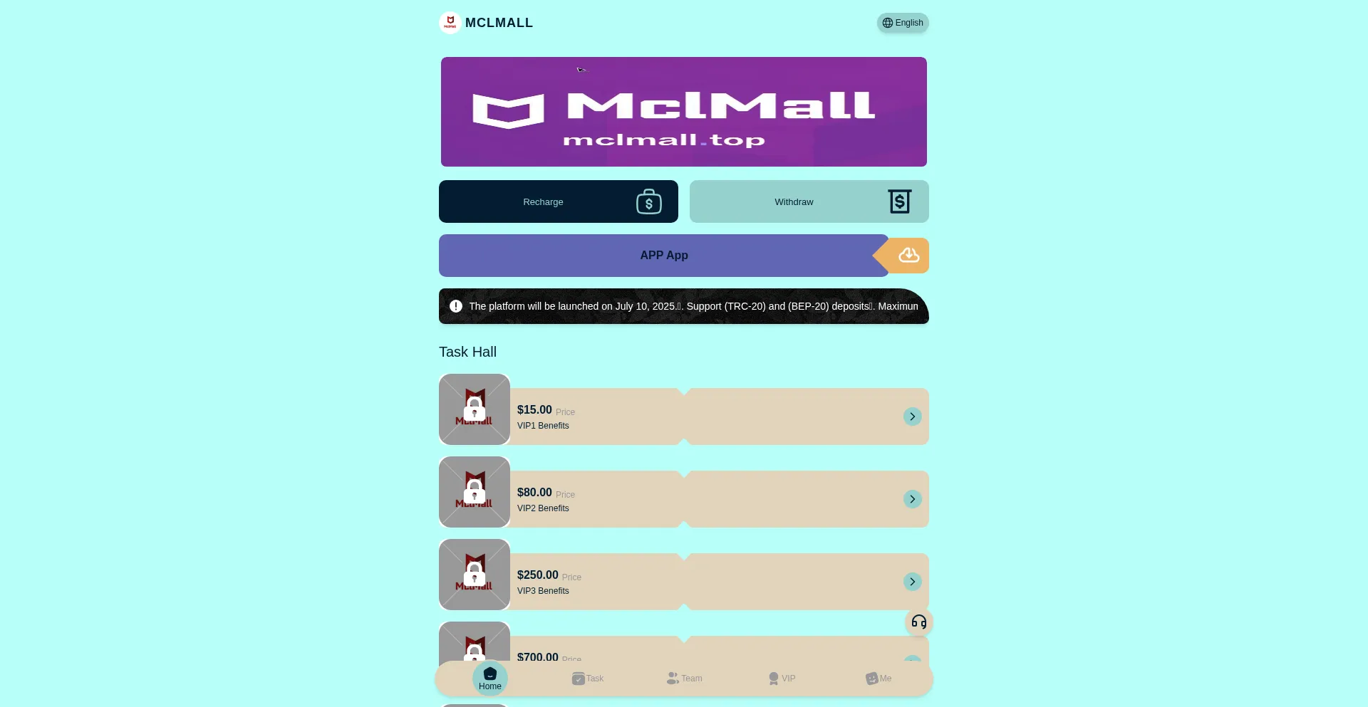Website screenshot of Mclmall.top
