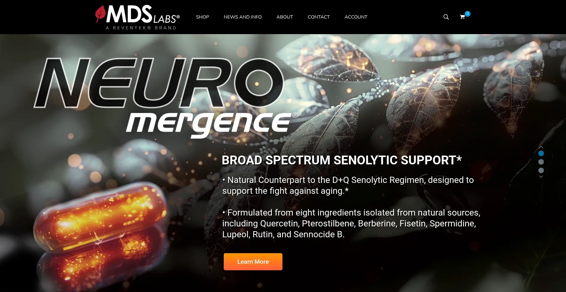 Website screenshot of Mdslabs.shop
