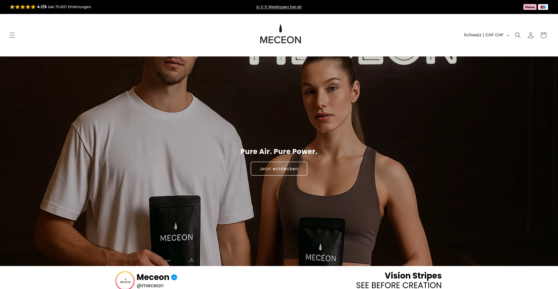 Website screenshot of Meceon.com