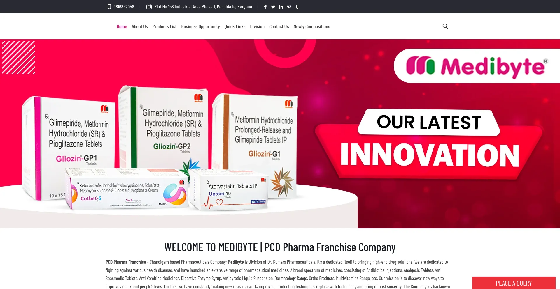 Website screenshot of Medibyte.in