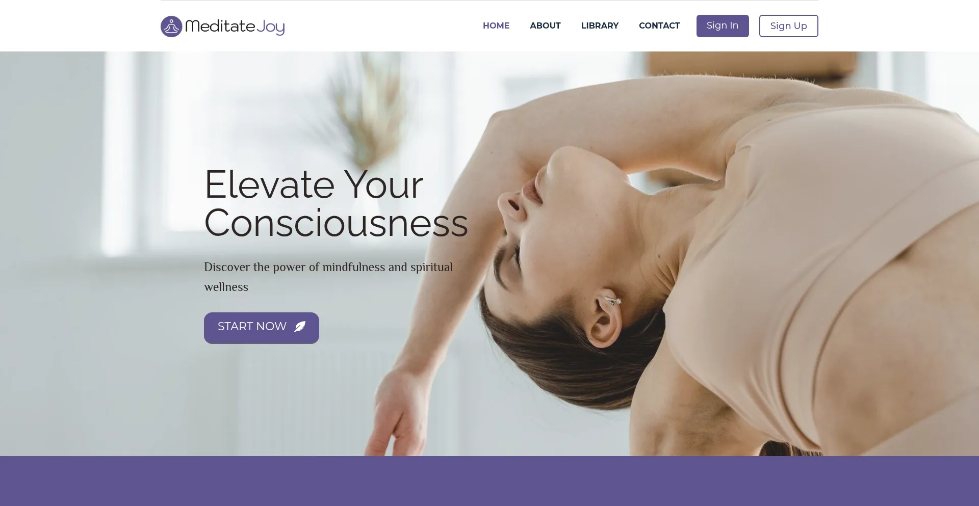 Website screenshot of Meditatejoy.co