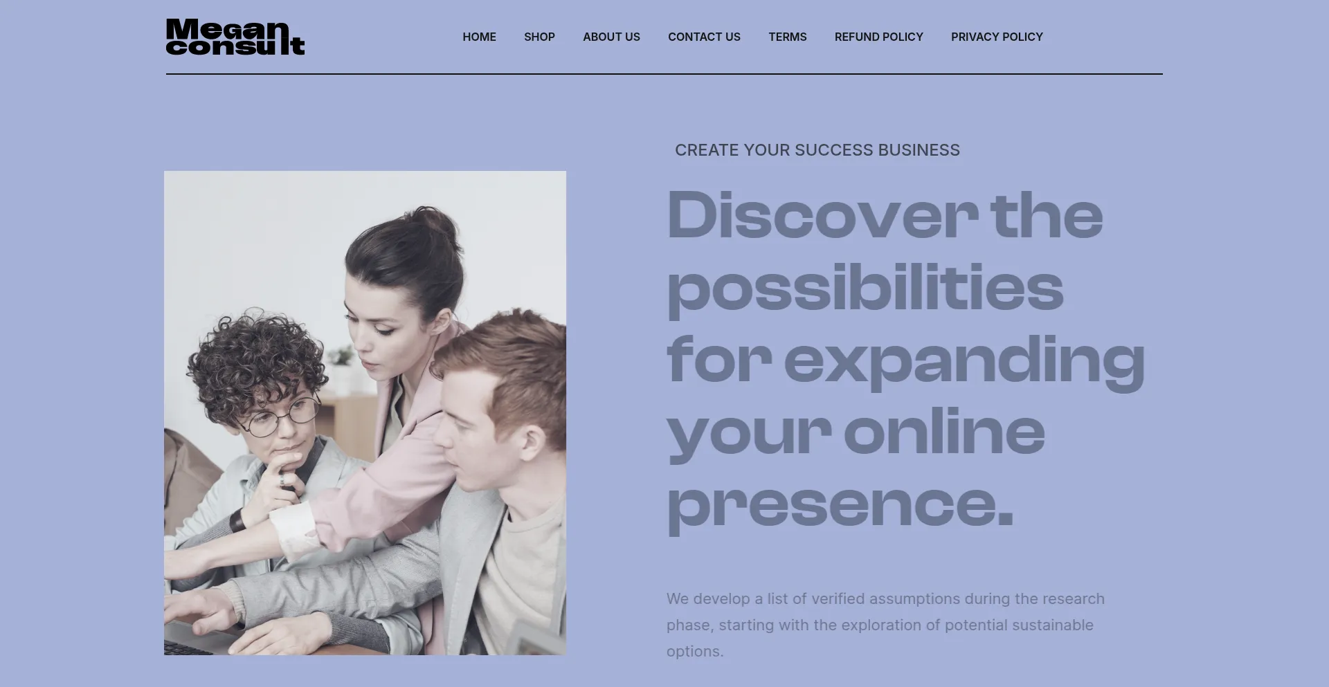 Website screenshot of Meganconsultstore.com