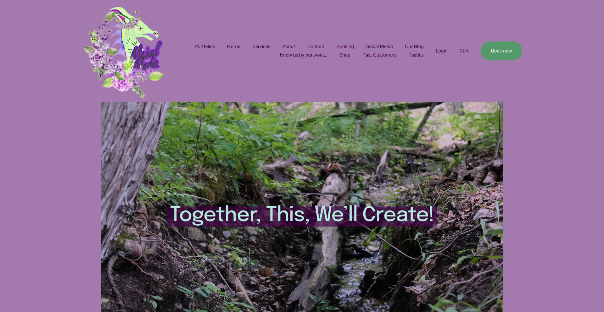 Website screenshot of Meixelmedia.com