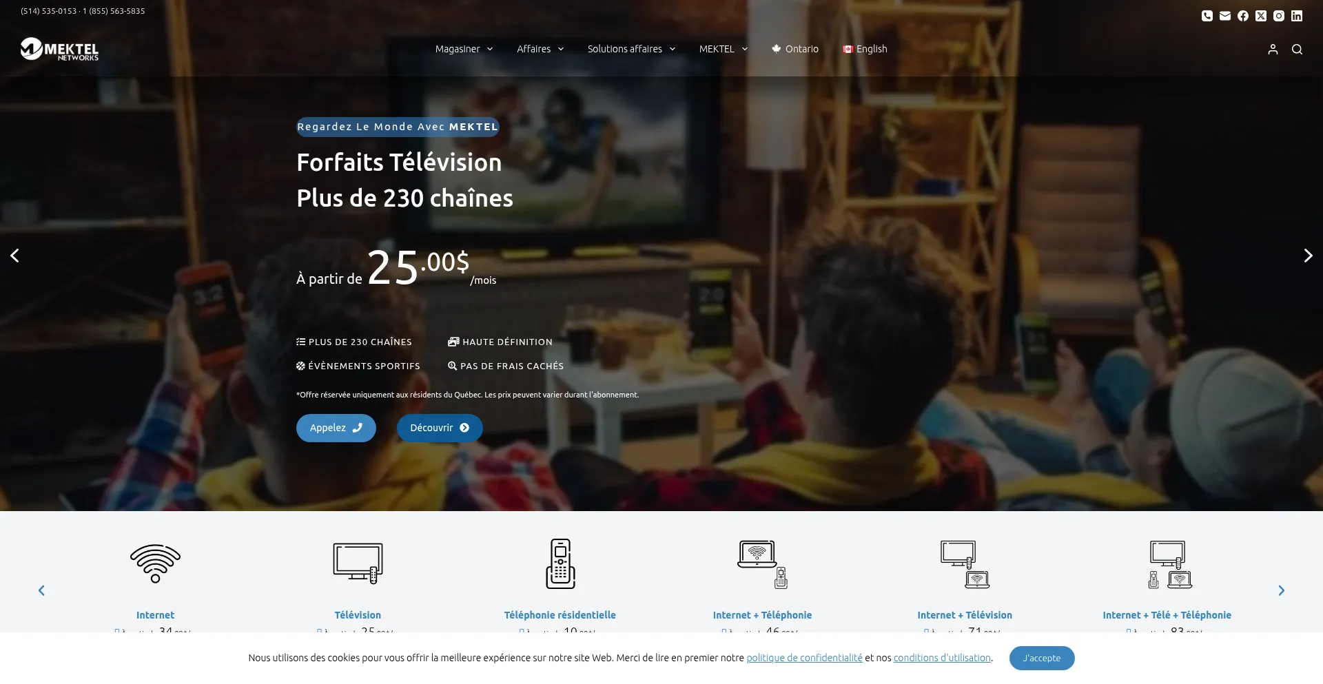 Website screenshot of Mektel.ca