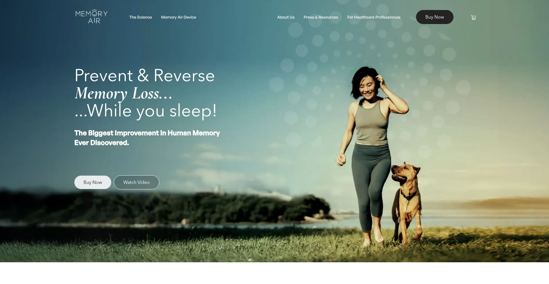 Website screenshot of Memoryair.com