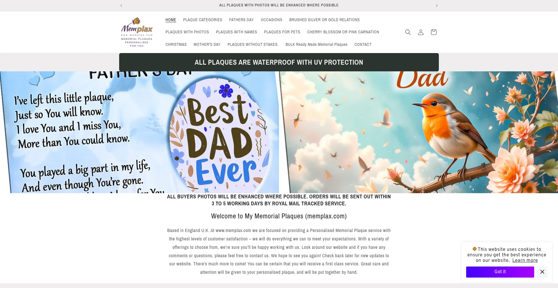 Website screenshot of Memplax.com