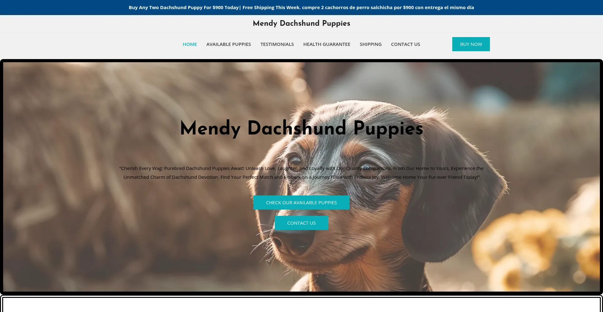 Website screenshot of Mendydachshundpuppies.com