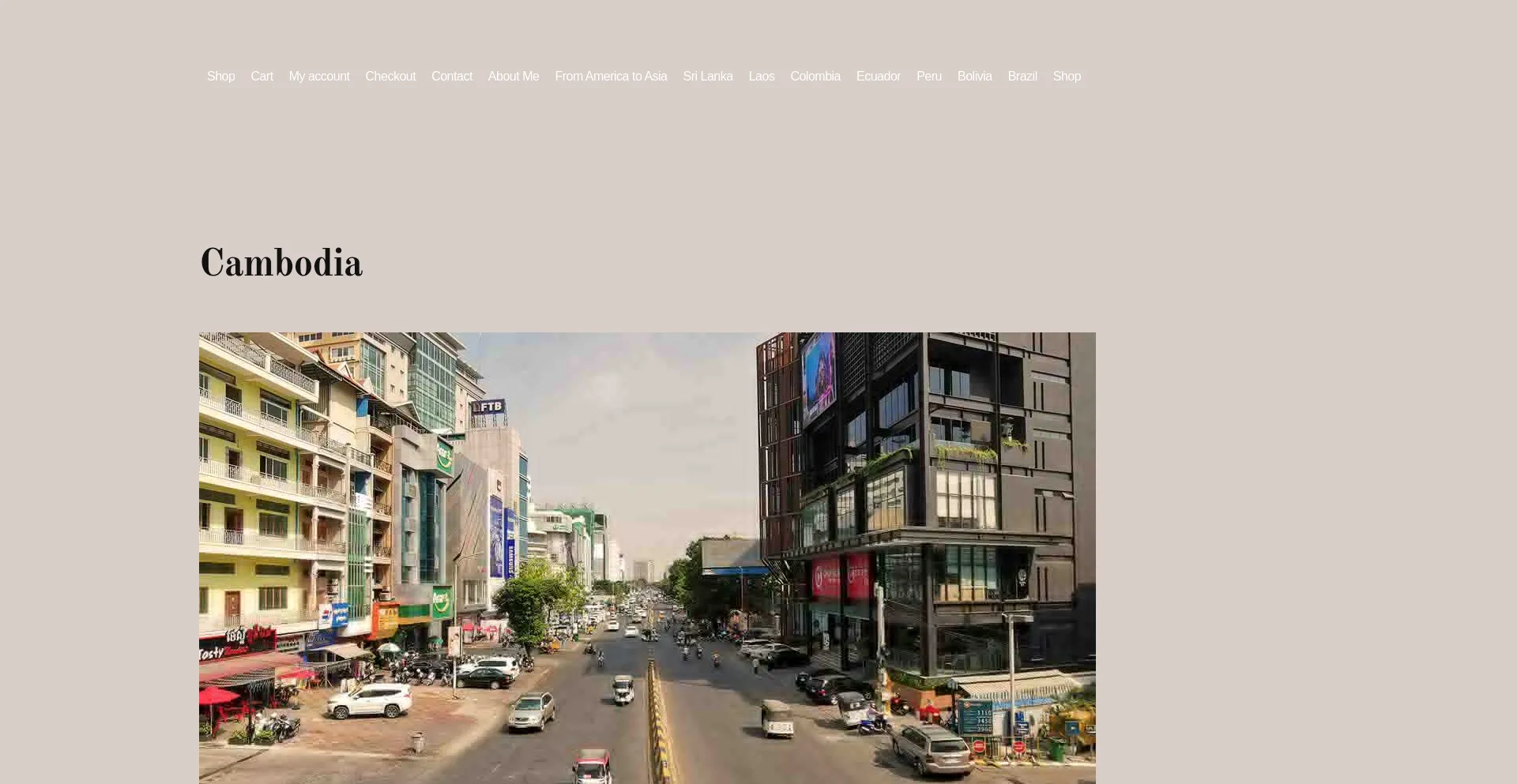 Website screenshot of Menotlost.com