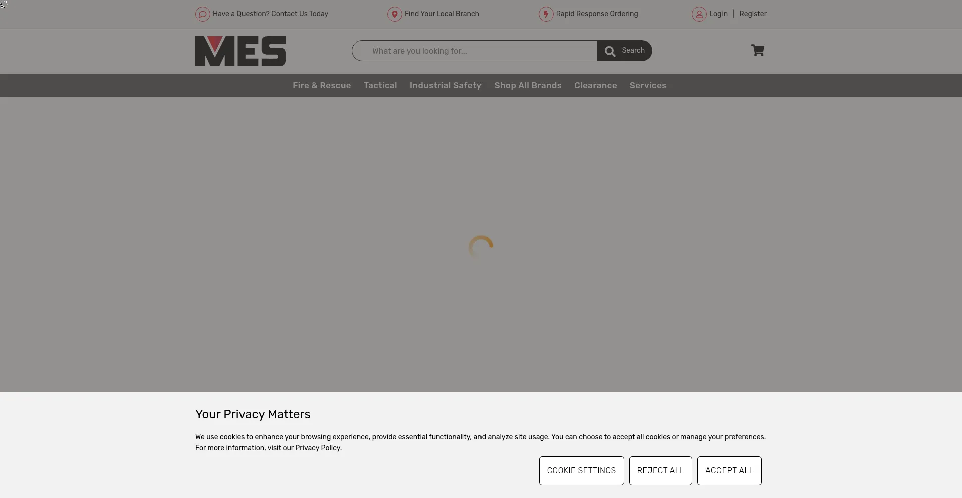 Website screenshot of Meslifesafety.com
