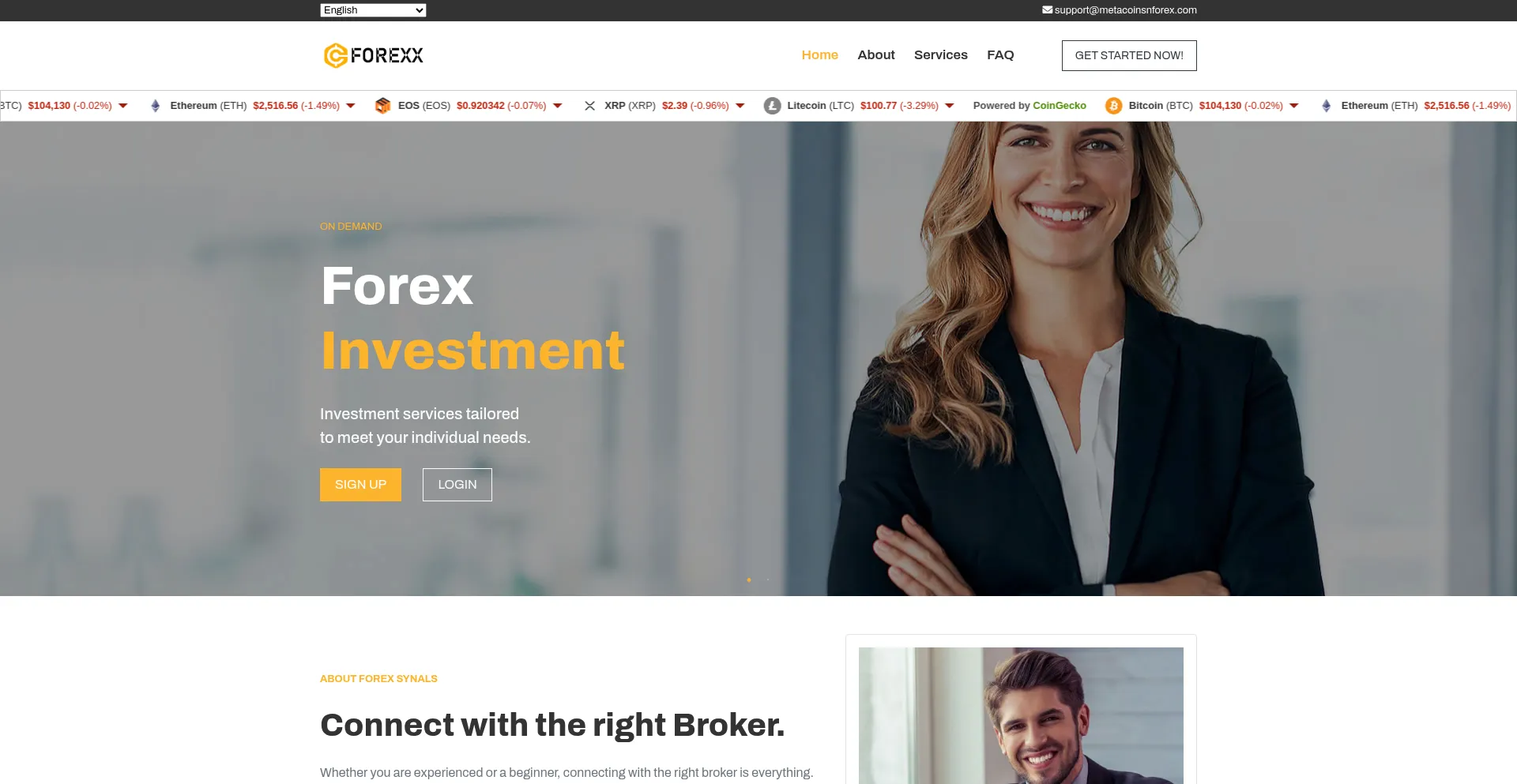 Website screenshot of Metacoinsnforex.com