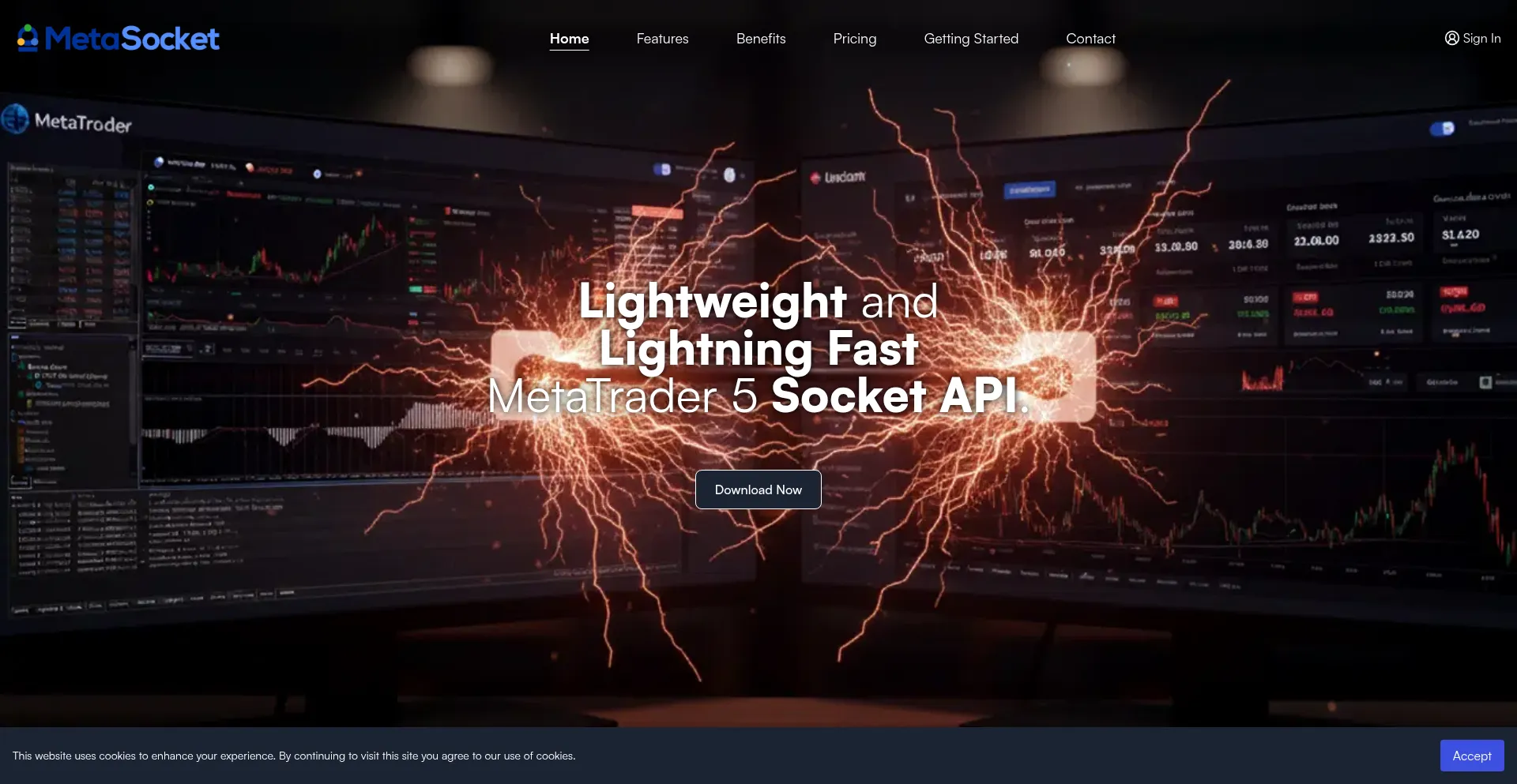 Metasocket.io Screenshot