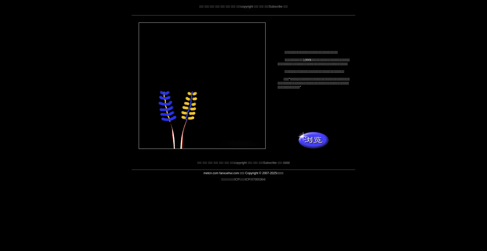 Website screenshot of Metcn.com