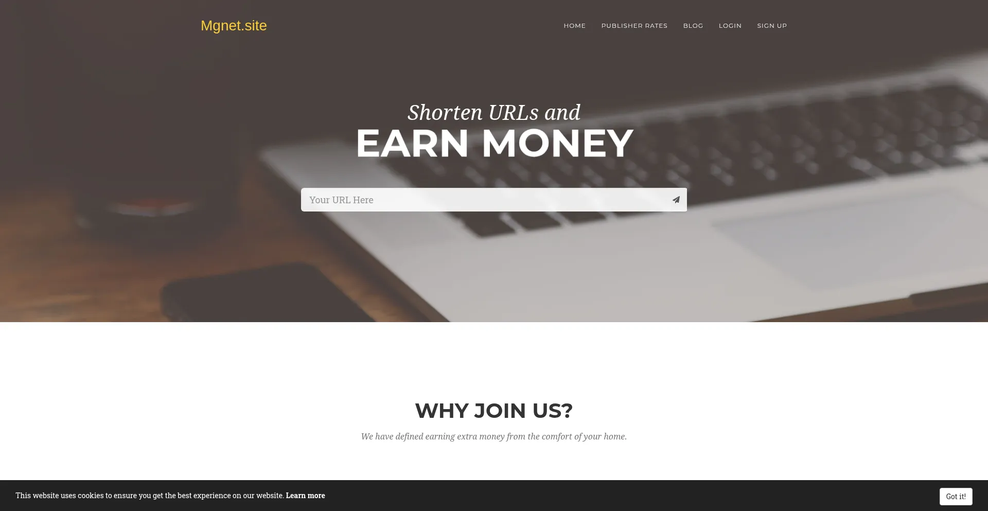 Website screenshot of Mgnet.site