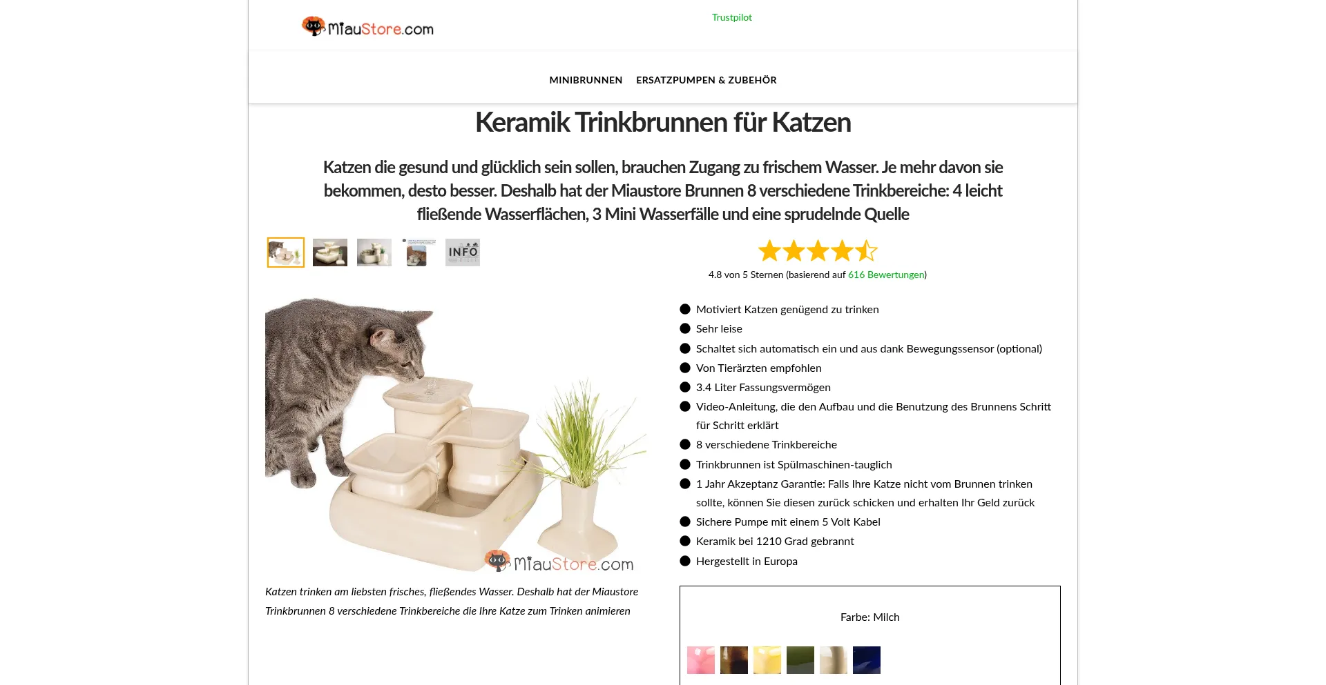 Website screenshot of Miaustore.com