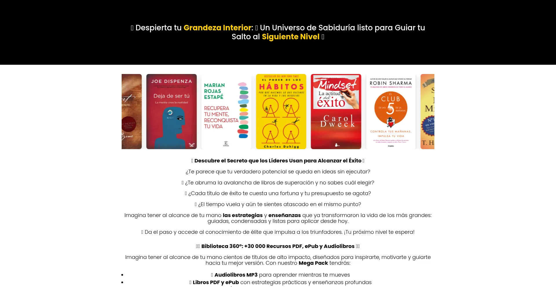 Website screenshot of Mibazardigital.com