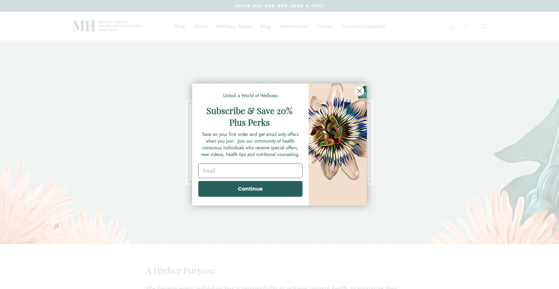 Website screenshot of Michaelshealth.com