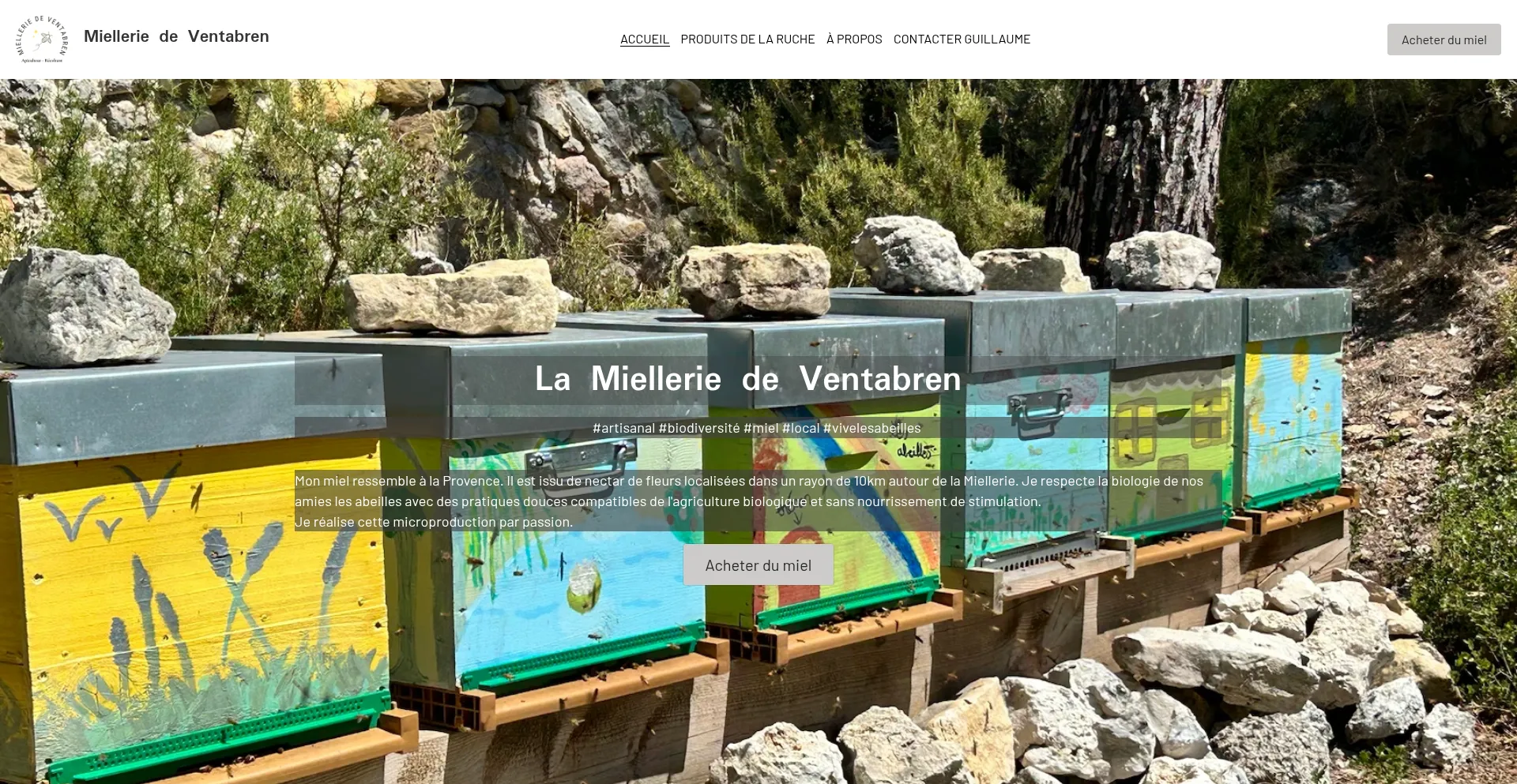 Website screenshot of Mieldeventabren.fr