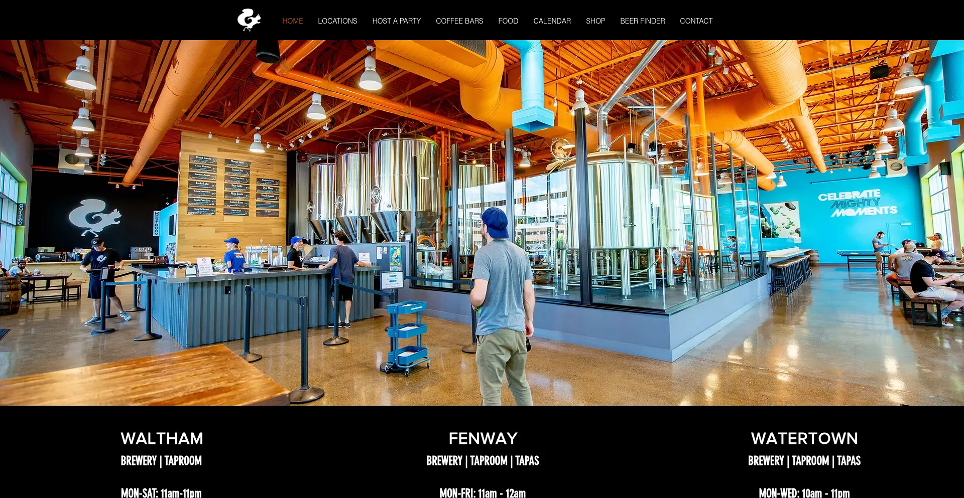 Website screenshot of Mightysquirrel.com
