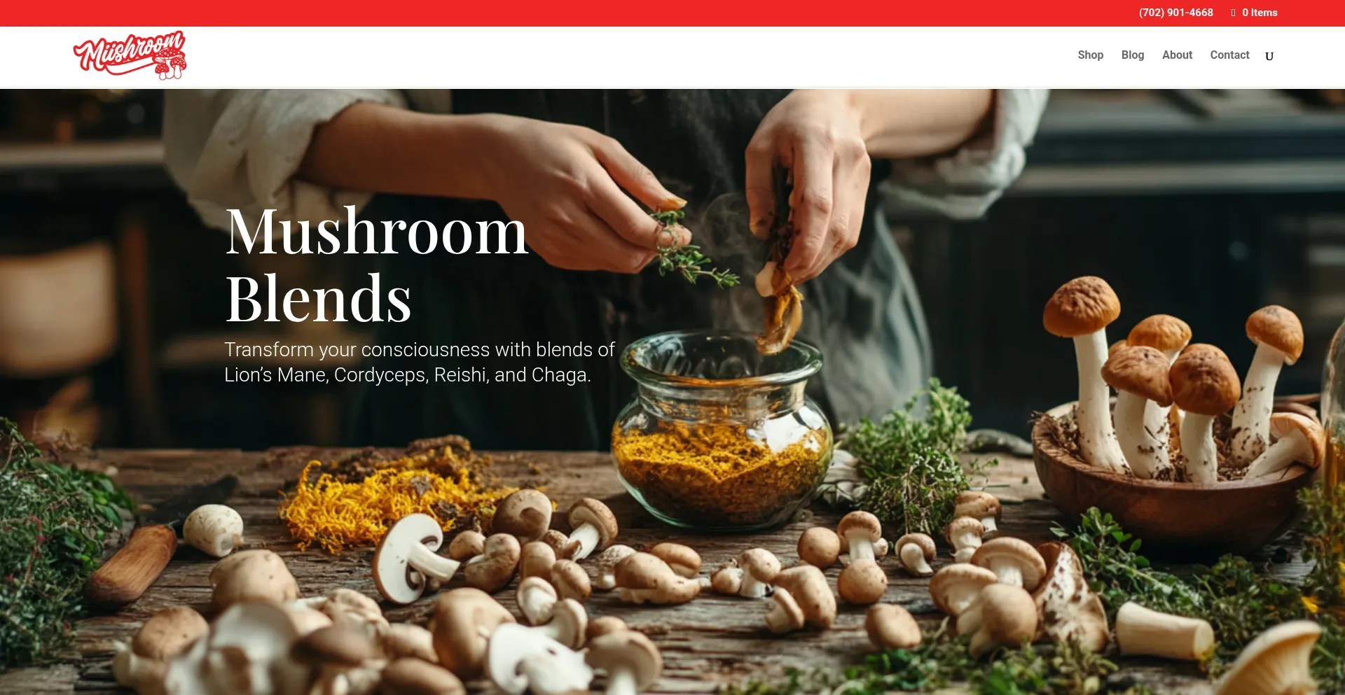 Website screenshot of Miishroom.com