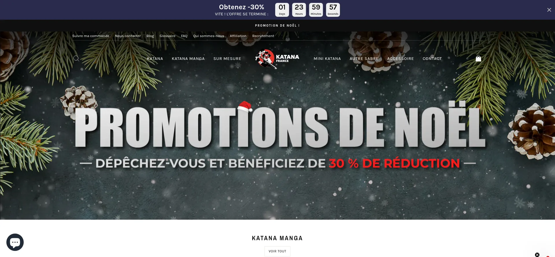 Website screenshot of Minikatanafr.com