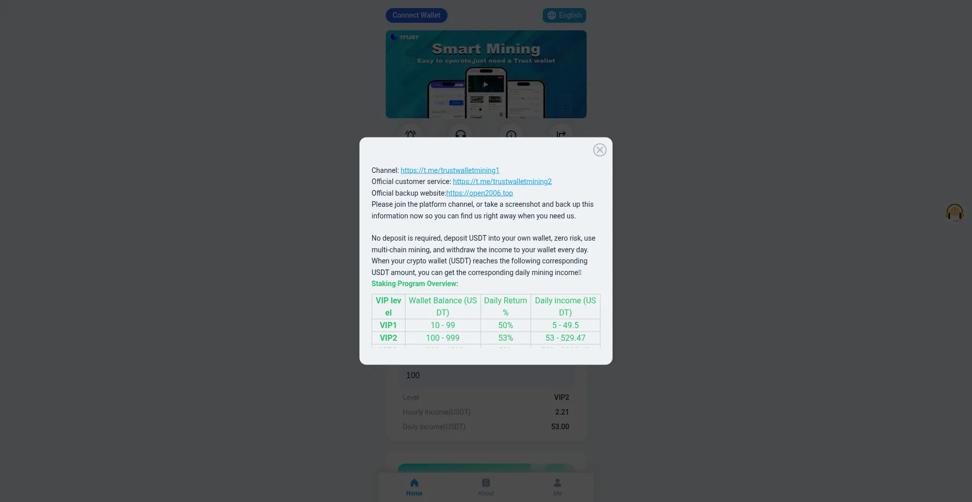 Website screenshot of Minings2025.com