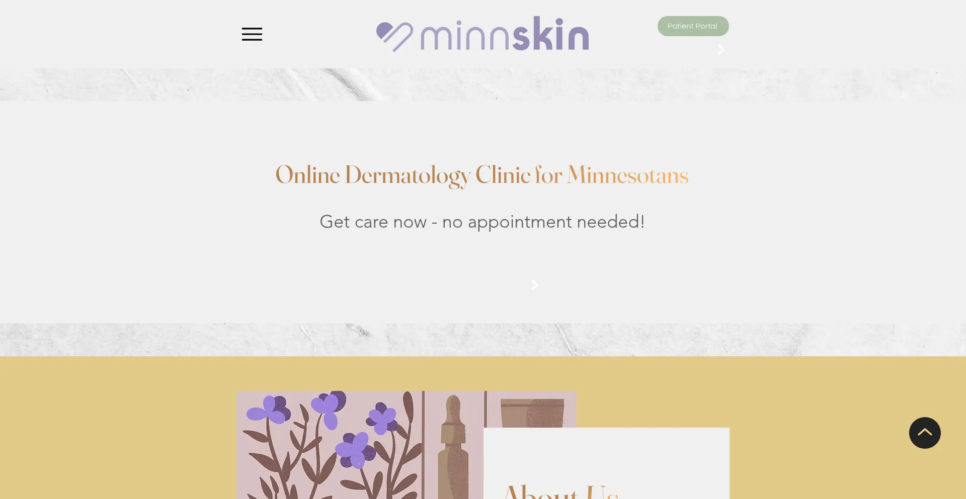 Website screenshot of Minnskin.com