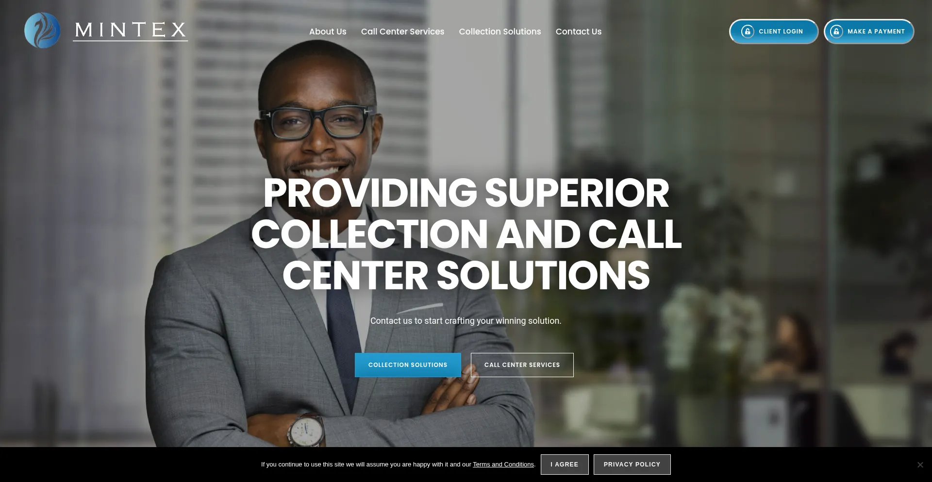 Website screenshot of Mintexinc.com