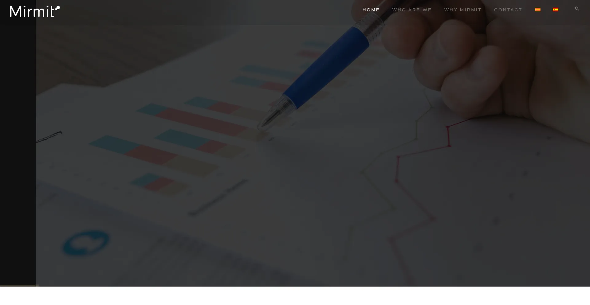 Website screenshot of Mirmit.com