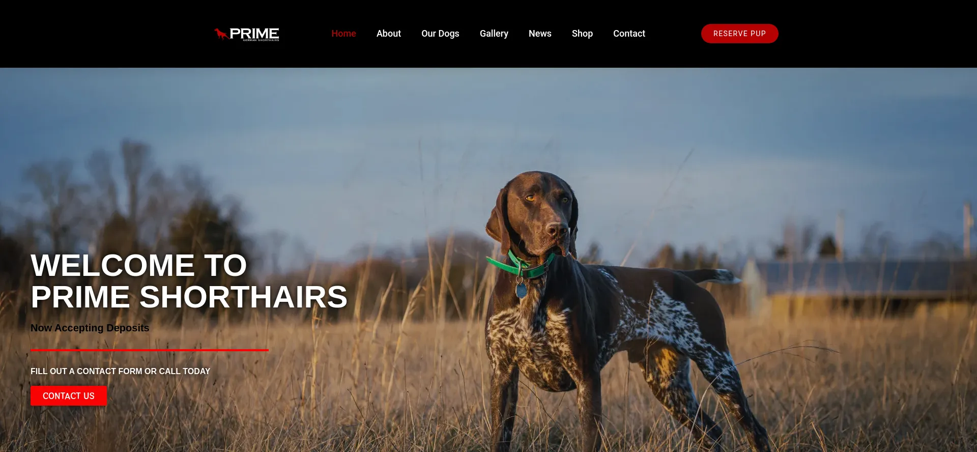 Missourigermanshorthairs.com