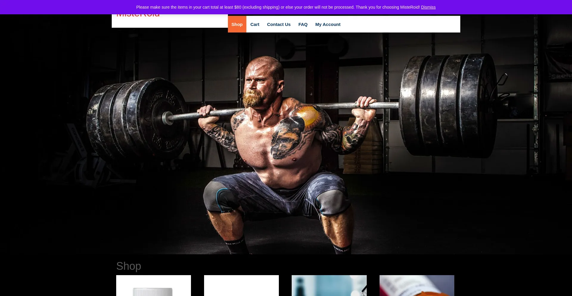 Website screenshot of Misteroidpharma.website