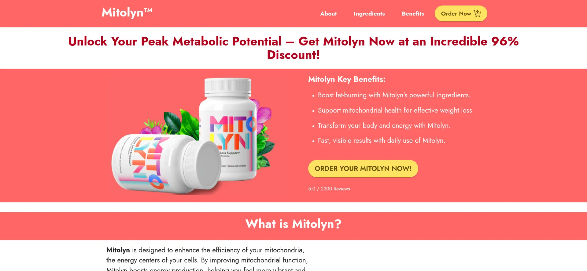 Mitoleyn.com