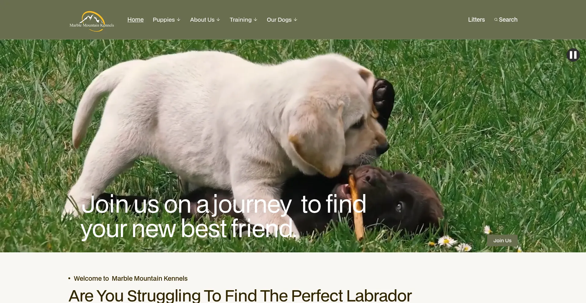 Mmkennels.com Screenshot