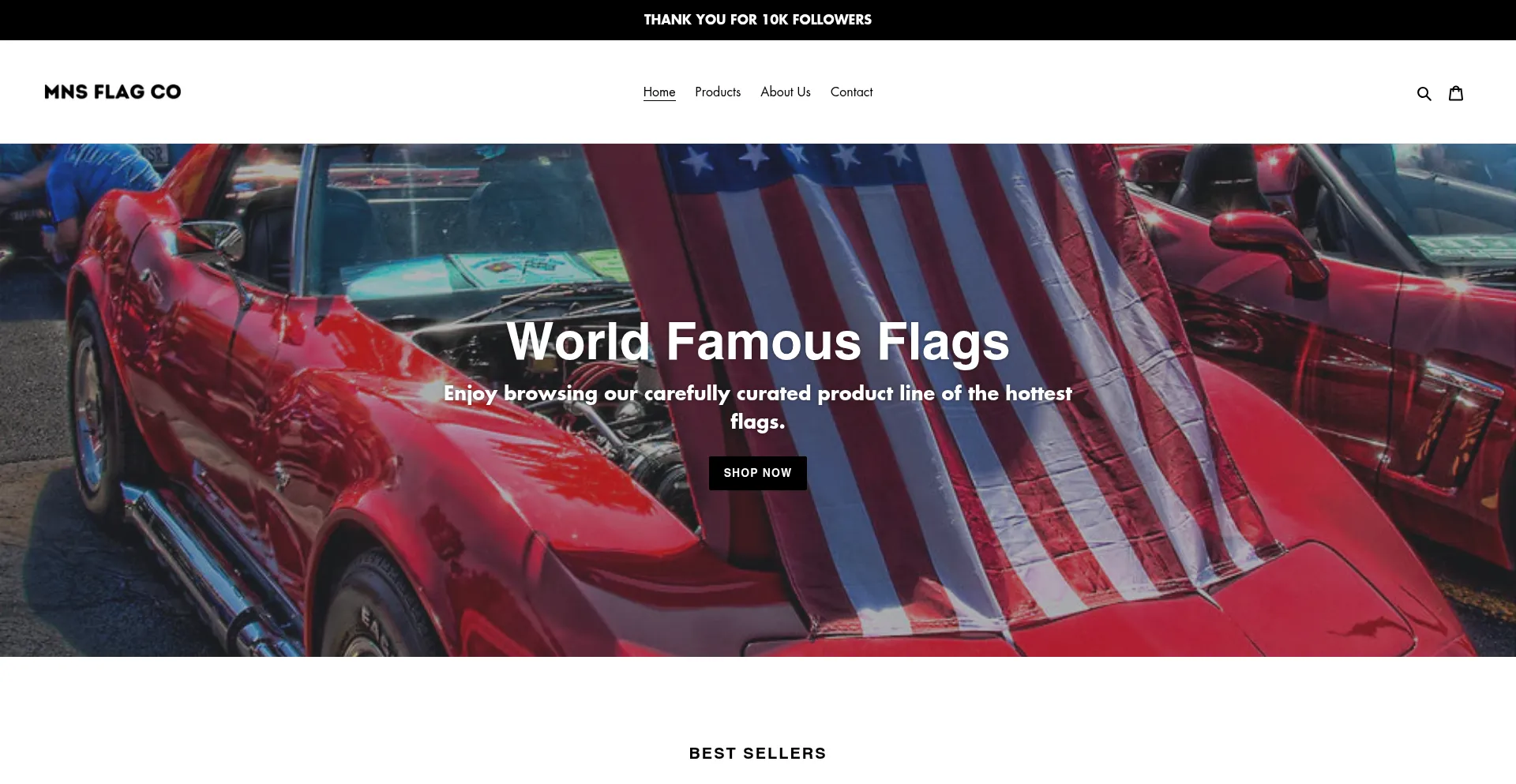 Website screenshot of Mnsflagco.com