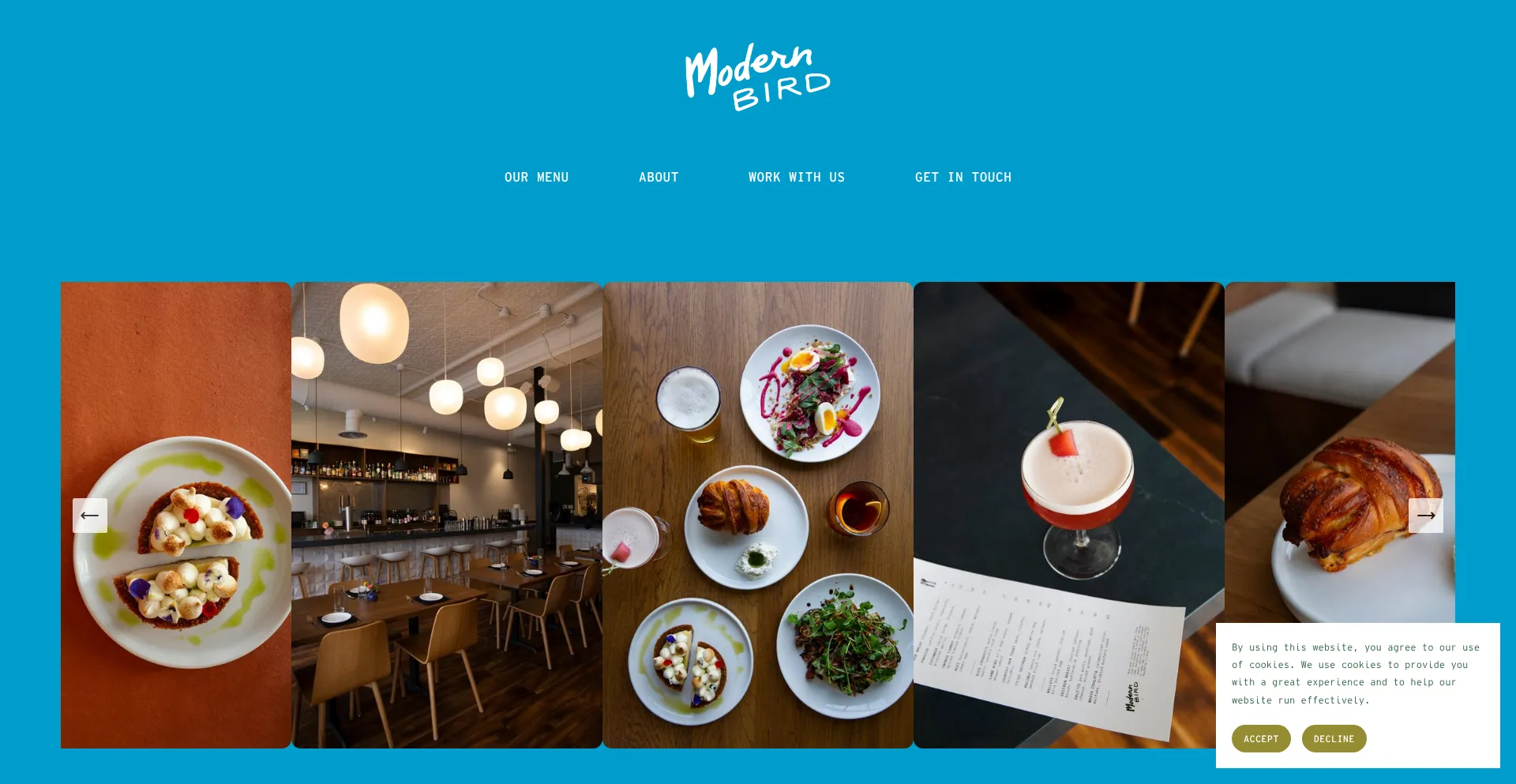 Website screenshot of Modernbirdtc.com
