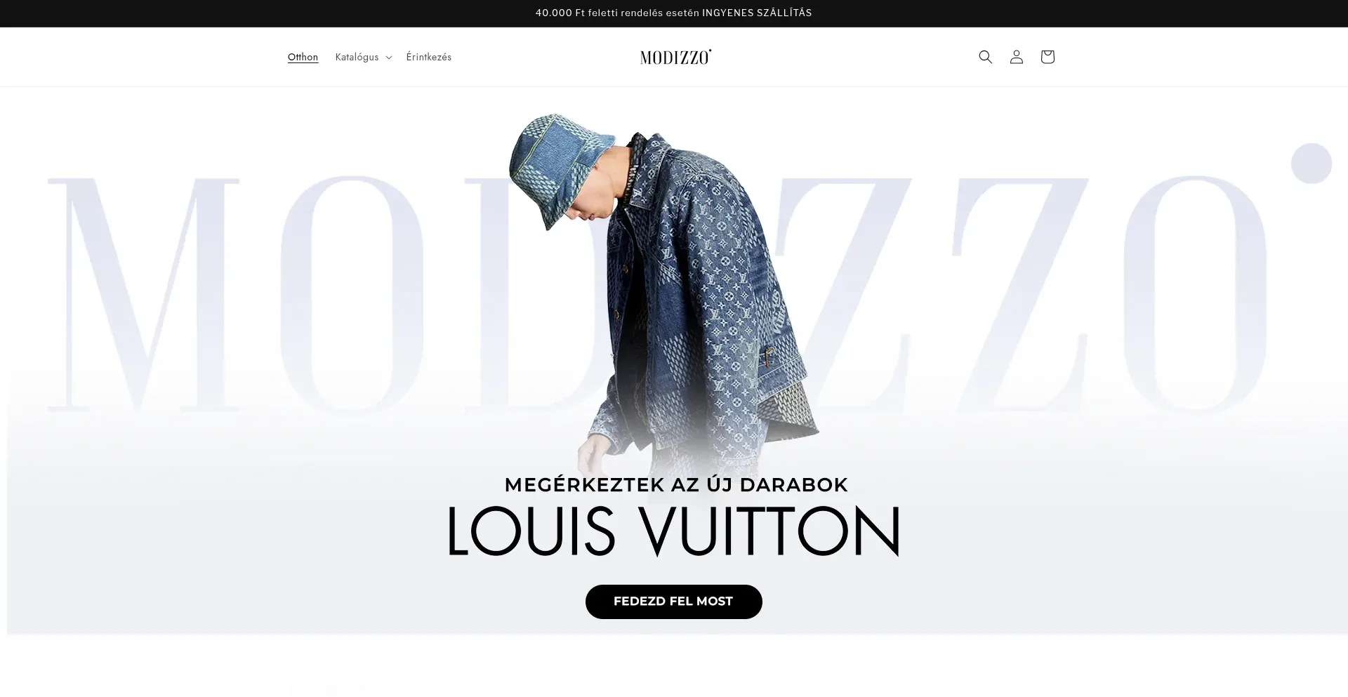 Website screenshot of Modizzo.com