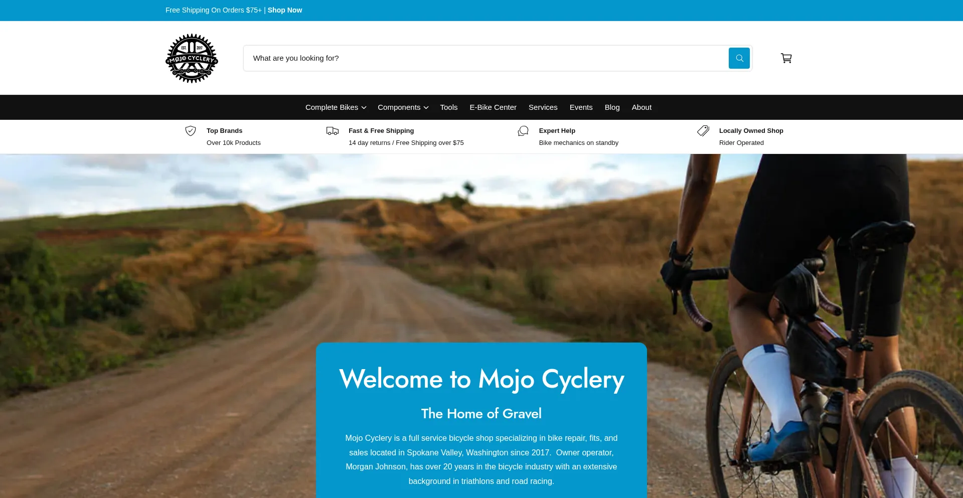 Website screenshot of Mojocyclery.com